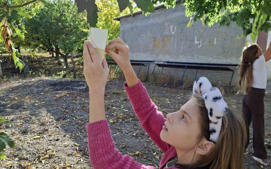 Хранилице у нашем дворишту пуне укусних семенки